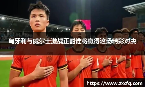 匈牙利与威尔士激战正酣谁将赢得这场精彩对决
